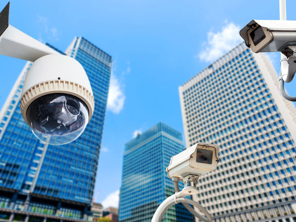 For what reason Do We Need Commercial Security services in Surrey?